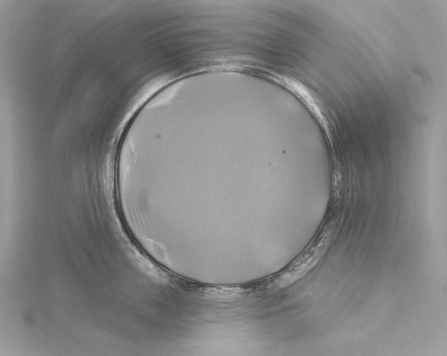 X0000115330859200911301526