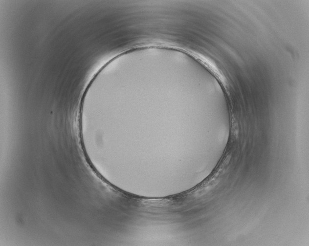 X0000115330863200911301526