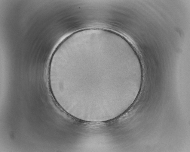 X0000115330864200911301526