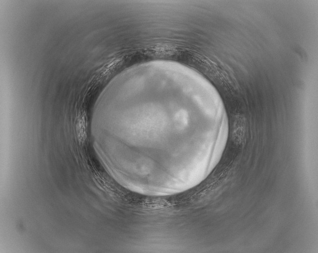 X0000115330866200911301525