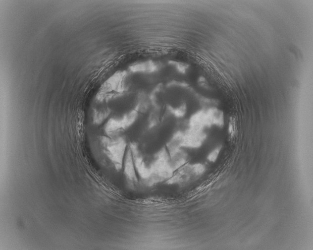 X0000115330867200911301525