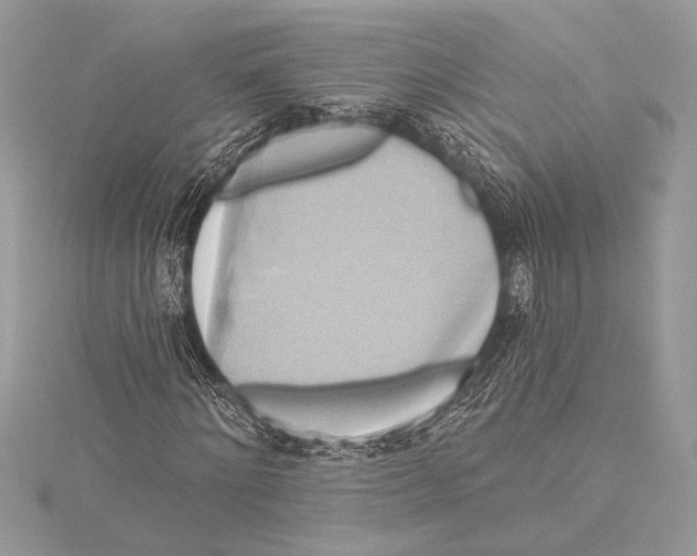 X0000115330868200911301525