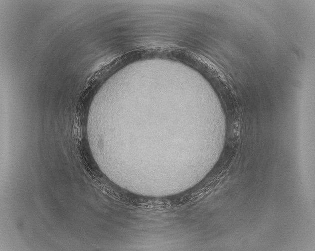 X0000115330869200911301525