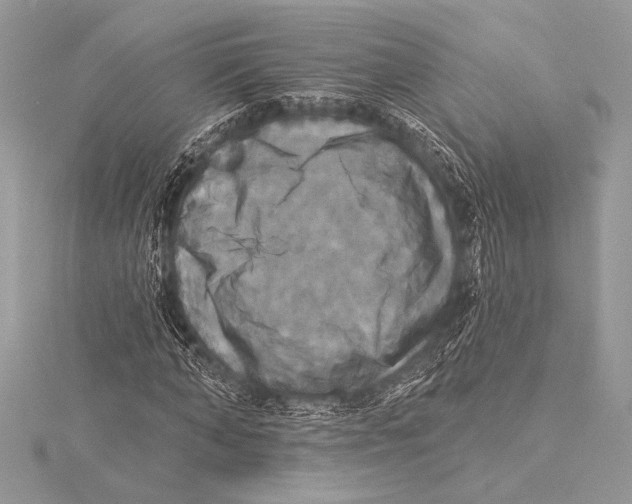 X0000115330870200911301525