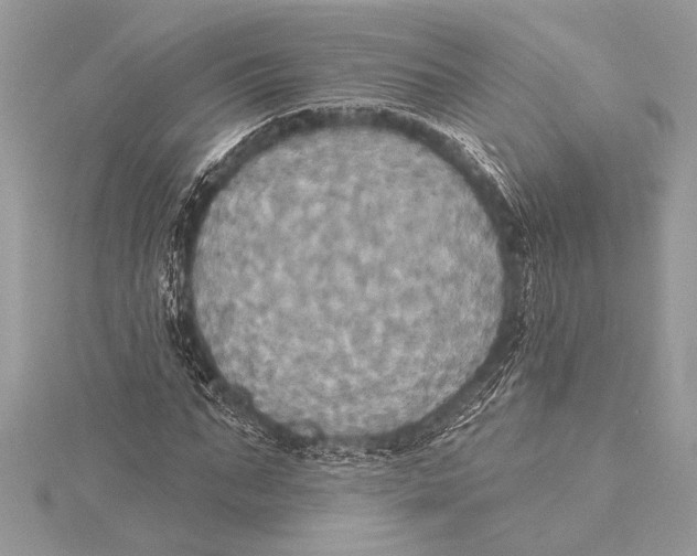 X0000115330871200911301525