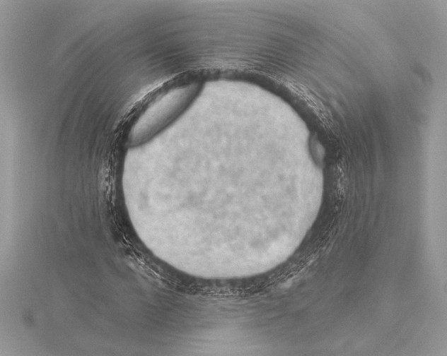 X0000115330872200911301525