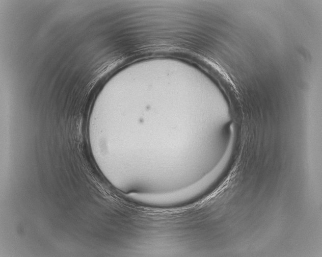 X0000115330873200911301525