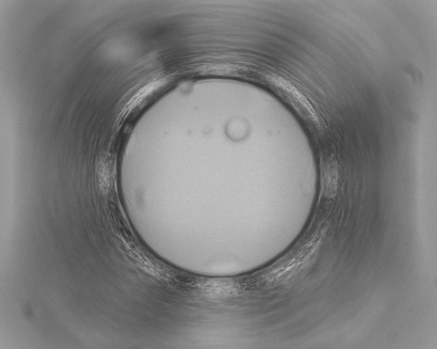 X0000115330874200911301525