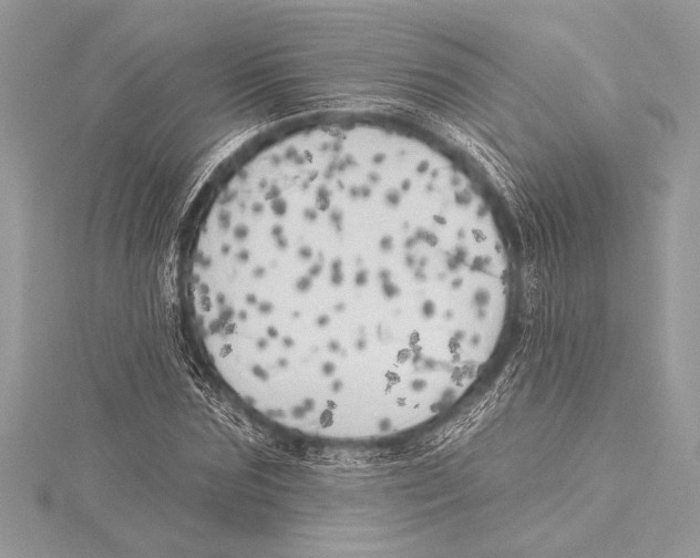 X0000115330875200911301525