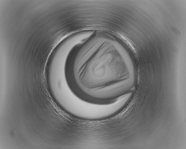 X0000115330876200911301525