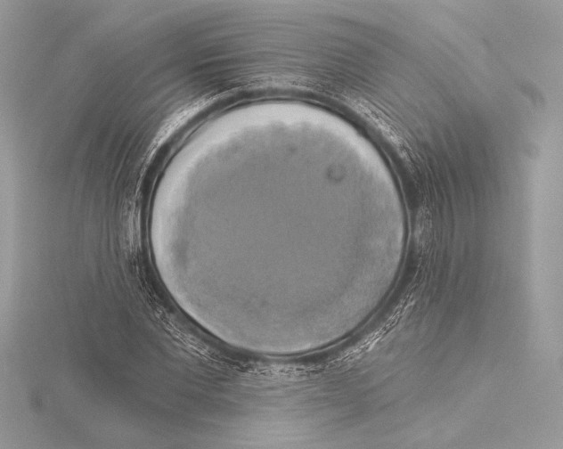 X0000115330877200911301525