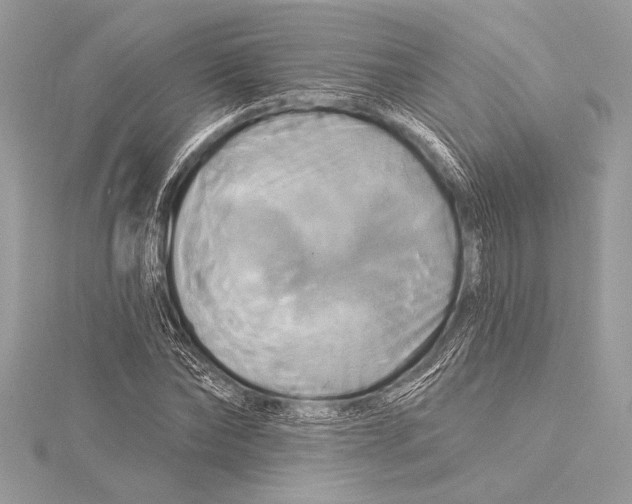 X0000115330878200911301525