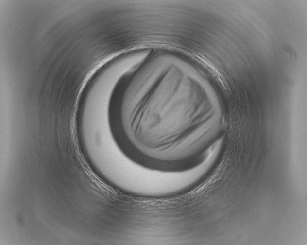 X0000115330880200911301525