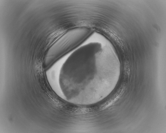 X0000115330881200911301525