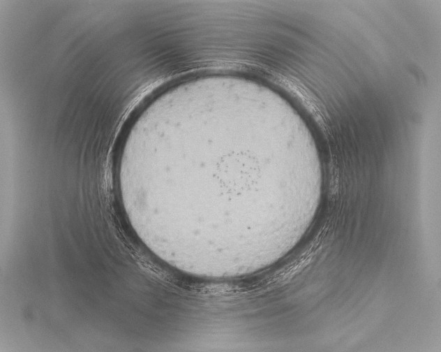 X0000115330883200911301525