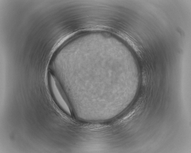 X0000115330885200911301525