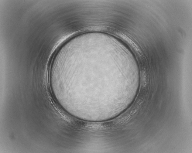 X0000115330886200911301525