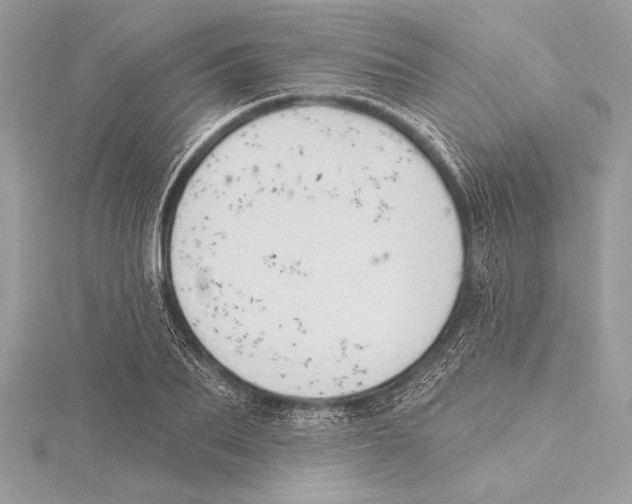 X0000115330887200911301525