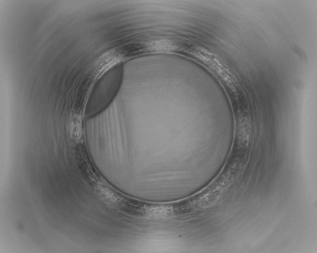 X0000115330889200911301525