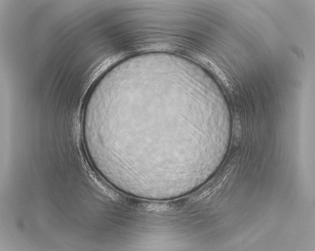 X0000115330890200911301525