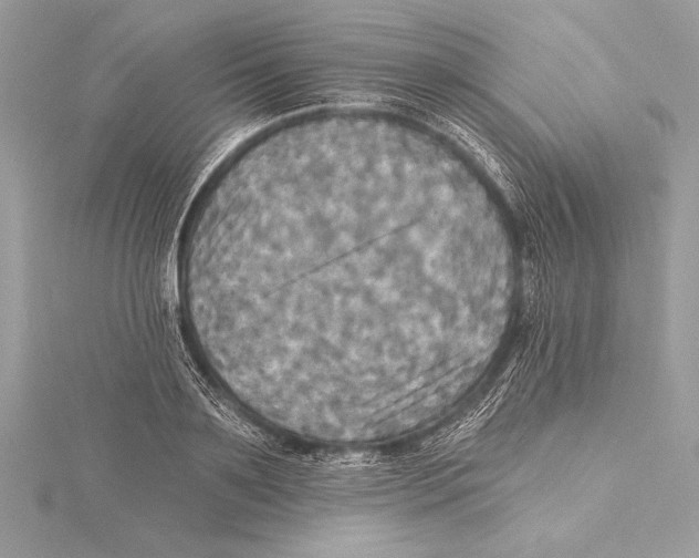 X0000115330891200911301525