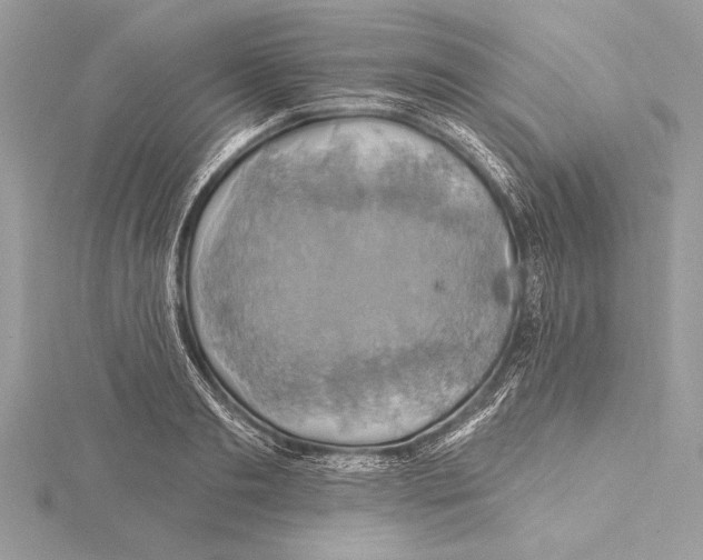 X0000115330893200911301525