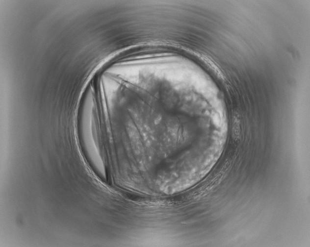 X0000115330895200911301525