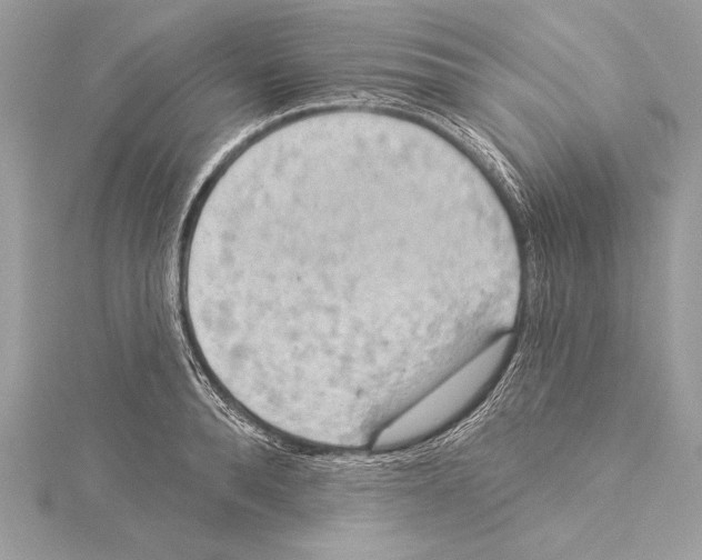 X0000115330896200911301525