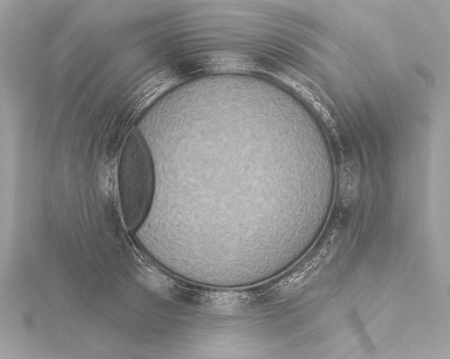 X0000115330897200911301525