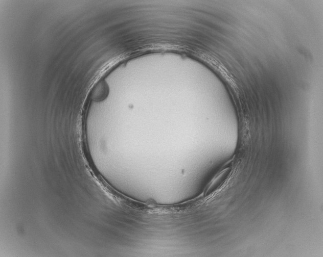 X0000115330898200911301525