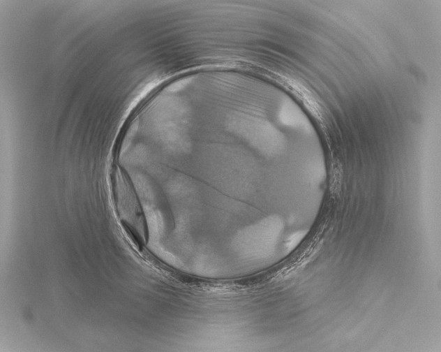 X0000115330899200911301525