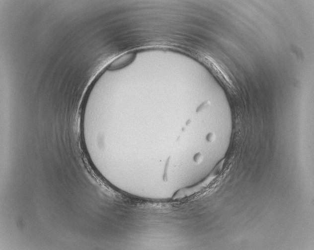 X0000115330900200911301525