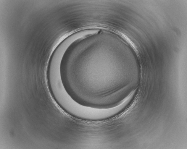 X0000115330901200911301525