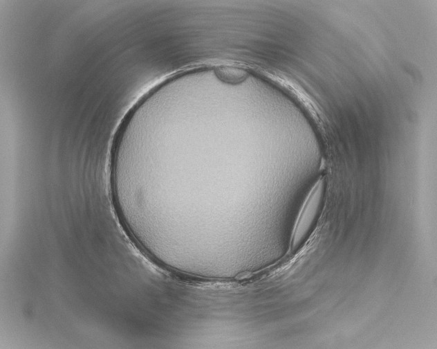 X0000115330902200911301525