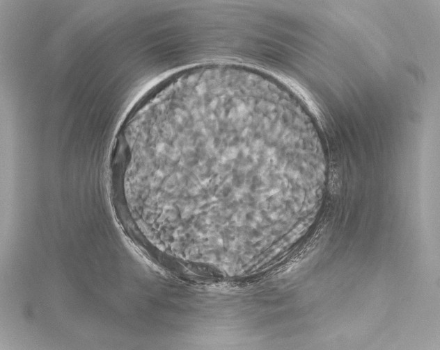 X0000115330903200911301525