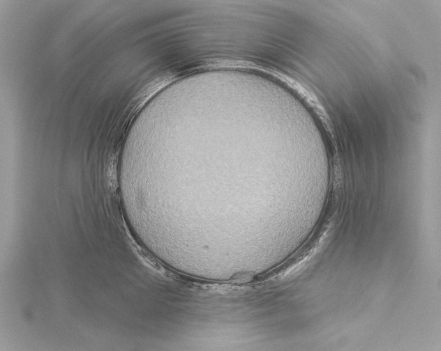 X0000115330905200911301525