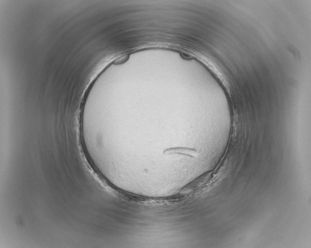 X0000115330906200911301525