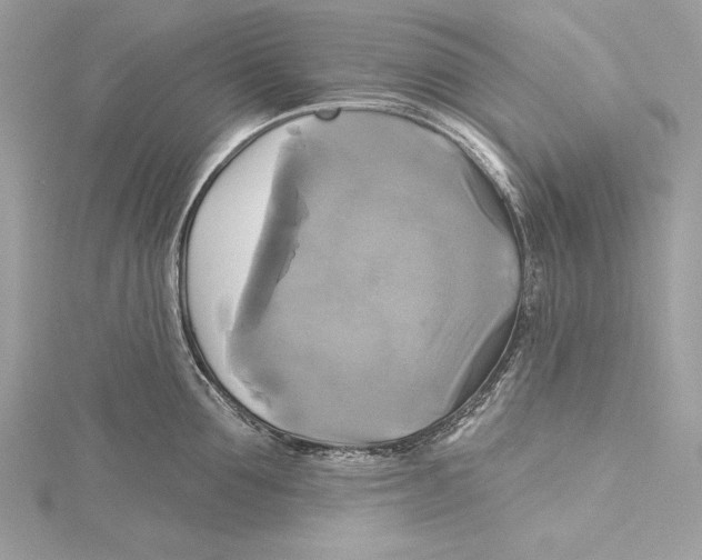 X0000115330907200911301525