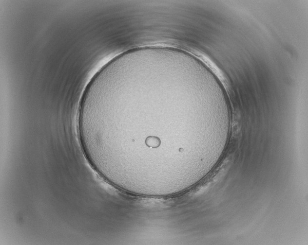 X0000115330909200911301525