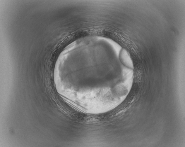 X0000115330913200911301524