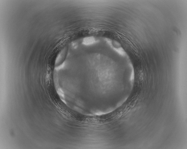 X0000115330914200911301524