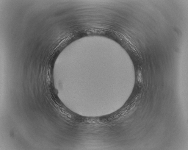 X0000115330915200911301524