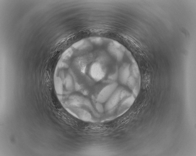 X0000115330917200911301524