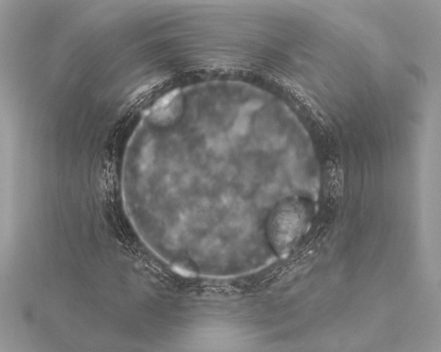 X0000115330918200911301524