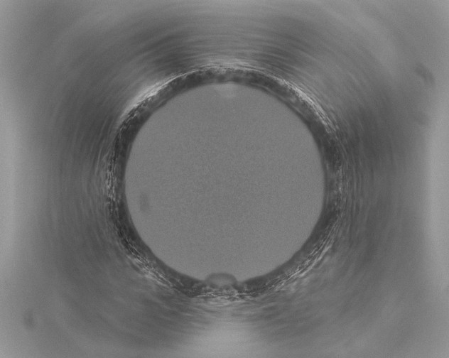 X0000115330919200911301524