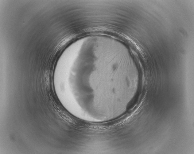 X0000115330921200911301524