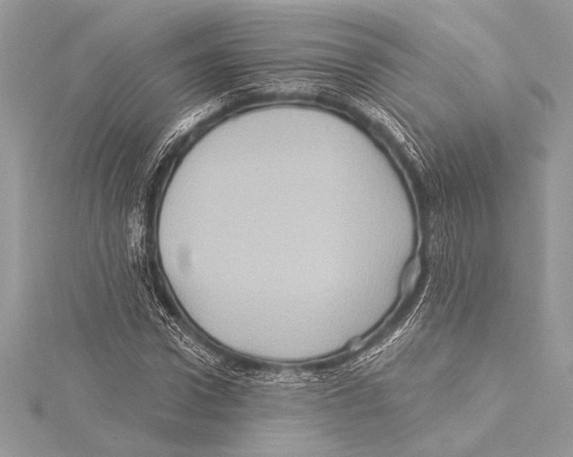 X0000115330922200911301524