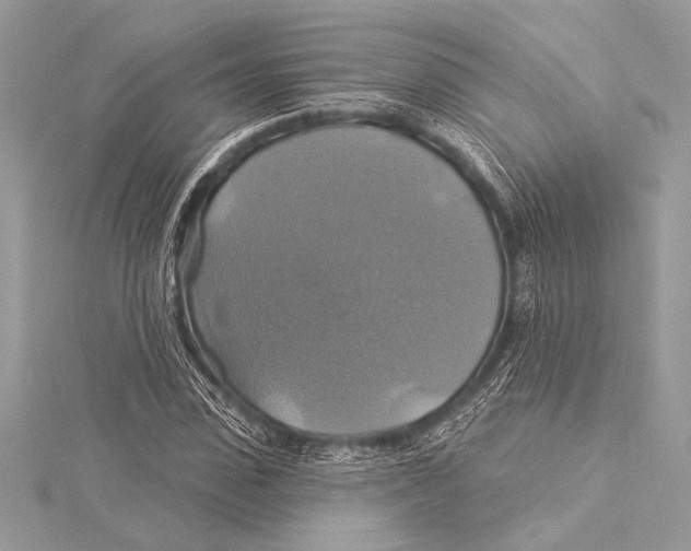 X0000115330923200911301524