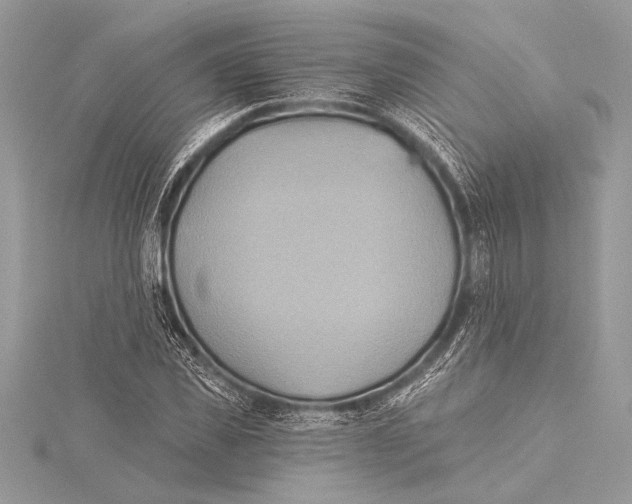 X0000115330925200911301524