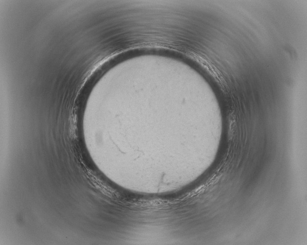 X0000115330926200911301524